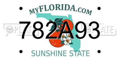 782A93 Florida License Plate