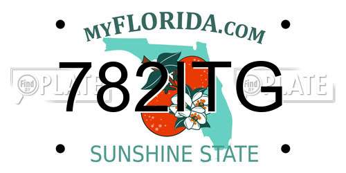 782ITG Florida License Plate