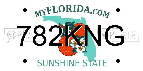 782KNG Florida License Plate
