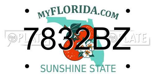 7832BZ Florida License Plate