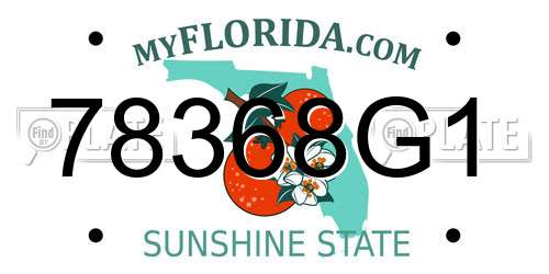 78368G1 Florida License Plate