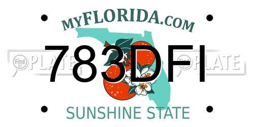 783DFI Florida License Plate