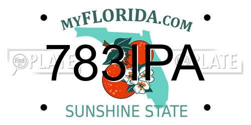 783IPA Florida License Plate