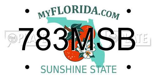 783MSB Florida License Plate