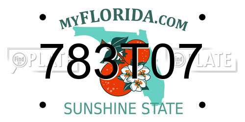 783T07 Florida License Plate
