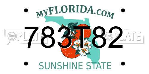 783T82 Florida License Plate