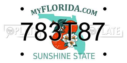 783T87 Florida License Plate