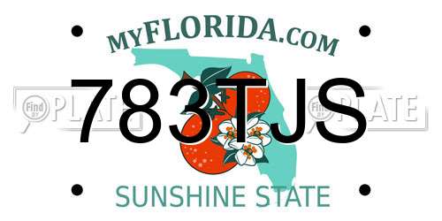 783TJS Florida License Plate