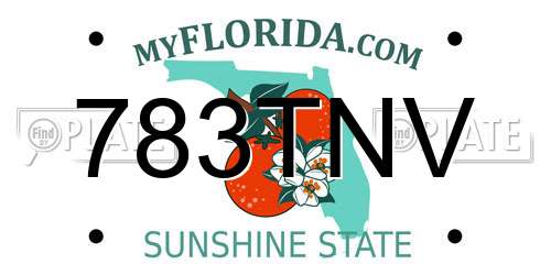 783TNV Florida License Plate
