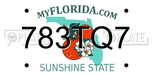 783TQ7 Florida License Plate