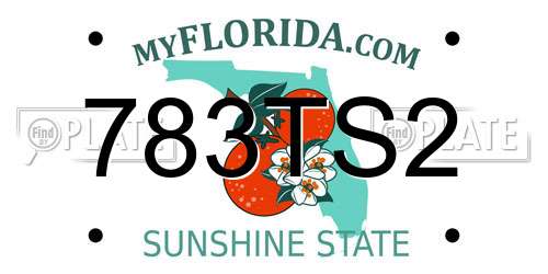 783TS2 Florida License Plate