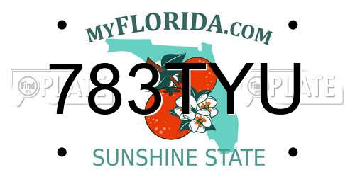 783TYU Florida License Plate