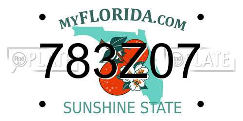 783Z07 Florida License Plate