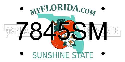 7845SM Florida License Plate