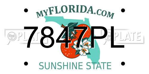 7847PL Florida License Plate