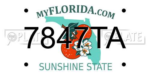 7847TA Florida License Plate