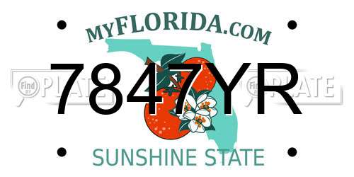7847YR Florida License Plate