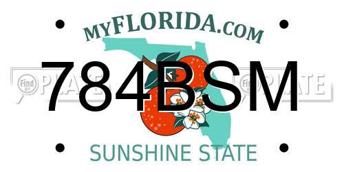 784BSM Florida License Plate