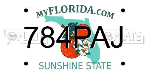 784PAJ Florida License Plate