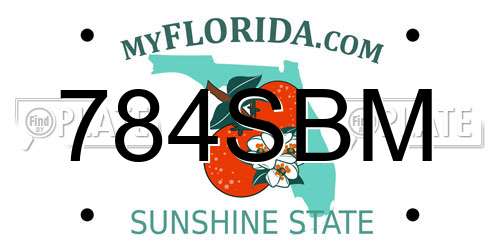 784SBM Florida License Plate