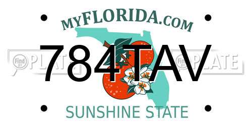 784TAV Florida License Plate