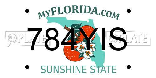 784YIS Florida License Plate