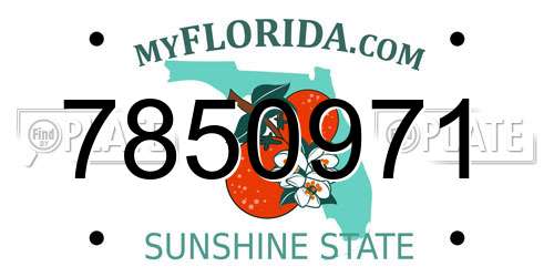 7850971 Florida License Plate