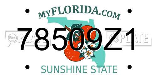 78509Z1 Florida License Plate