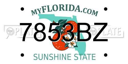 7853BZ Florida License Plate