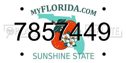 7857449 Florida License Plate