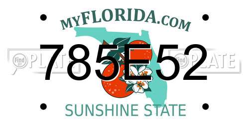 785E52 Florida License Plate