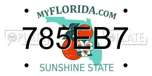 785EB7 Florida License Plate