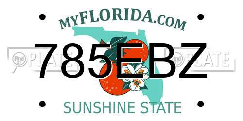 785EBZ Florida License Plate