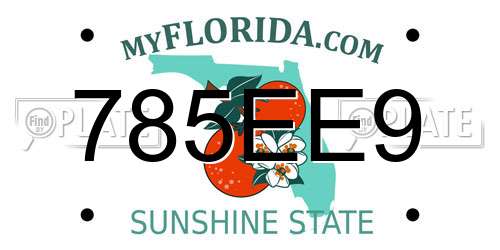 785EE9 Florida License Plate