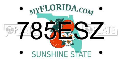 785ESZ Florida License Plate