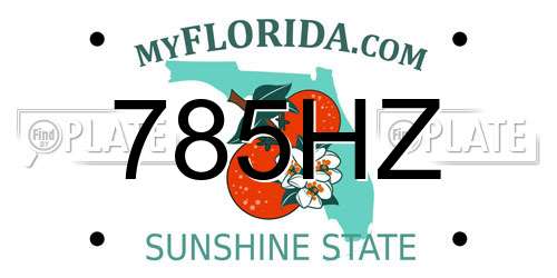 785HZ Florida License Plate