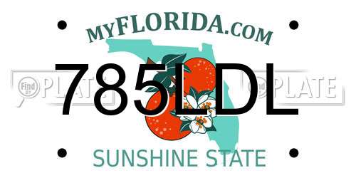 785LDL Florida License Plate