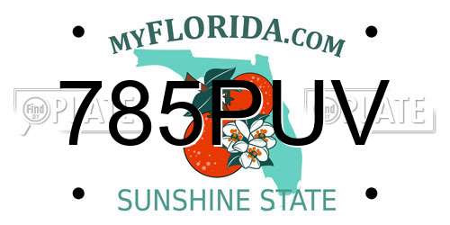 785PUV Florida License Plate