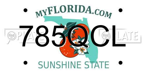 785QCL Florida License Plate