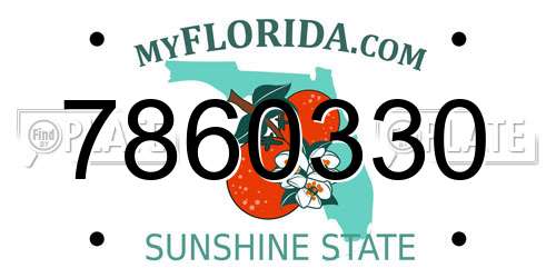 7860330 Florida License Plate
