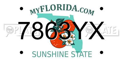 7863YX Florida License Plate