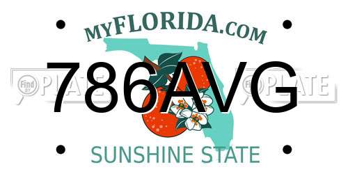 786AVG Florida License Plate