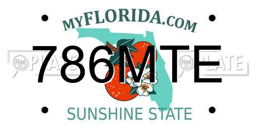 786MTE Florida License Plate