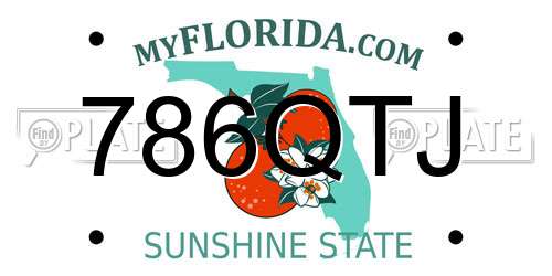 786QTJ Florida License Plate