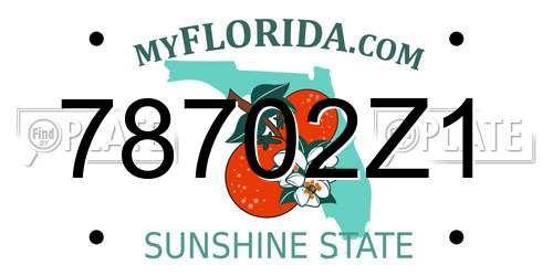 78702Z1 Florida License Plate