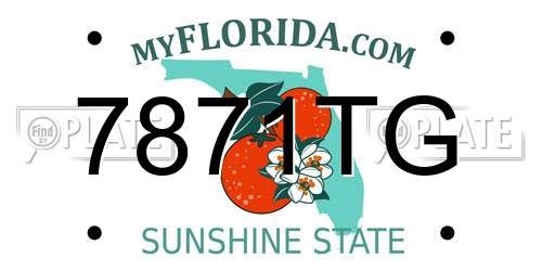 7871TG Florida License Plate