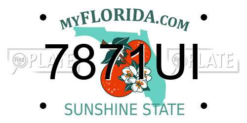 7871UI Florida License Plate