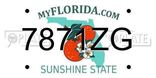 7871ZG Florida License Plate