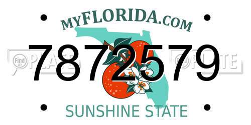 7872579 Florida License Plate
