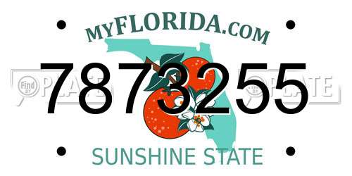 7873255 Florida License Plate